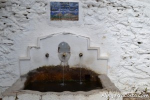 Cañar-36
