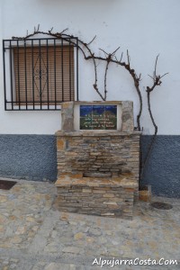 Cañar-44